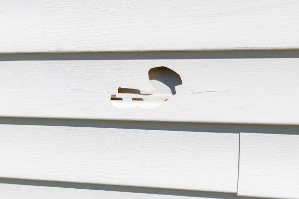 Best Shed Removal  in Reading, PA