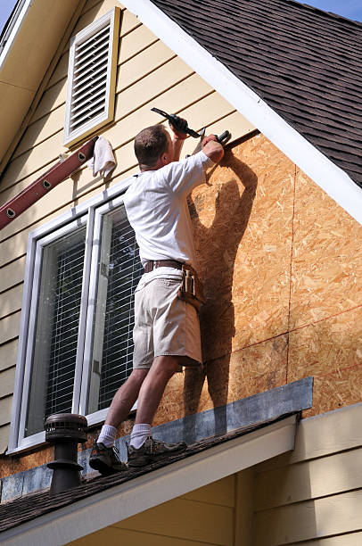 Best Carpet Removal and Disposal  in Reading, PA